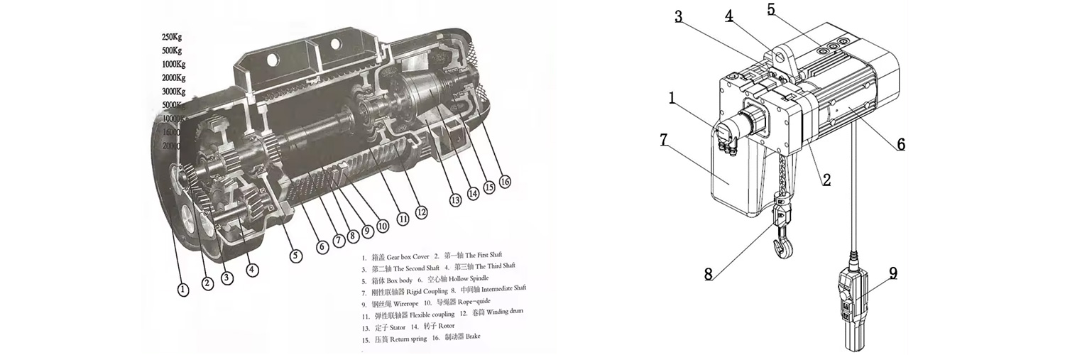 Custom-Printed-Electric-Chain-Hoist-10